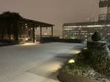 1212 Laurel St - Photo 15