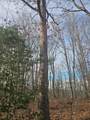 2900300 Smith Mountain - Photo 2