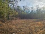 2900300 Smith Mountain - Photo 3