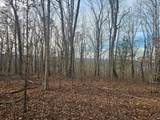 2900300 Smith Mountain - Photo 8