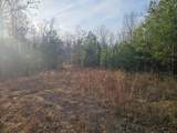 2900300 Smith Mountain - Photo 10