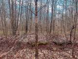 0 Pigpen Hollow Rd - Photo 5
