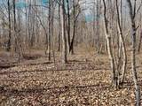 0 Pigpen Hollow Rd - Photo 9