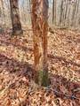 0 Pigpen Hollow Rd - Photo 10