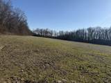 0 Harlon Iron Rd - Photo 5