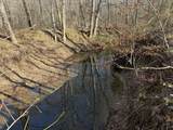 0 Harlon Iron Rd - Photo 6