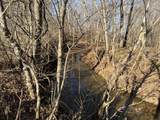 0 Harlon Iron Rd - Photo 9