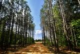 0 Allens Creek Road - Photo 15