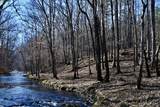 0 Allens Creek Road - Photo 7