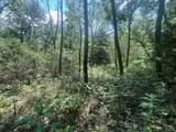 0 Maury Ln - Photo 6