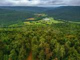 0 Bear Knob Ln - Photo 1