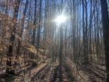 0 Excalibur Trail - Photo 1