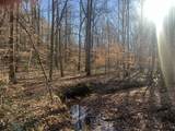 0 Excalibur Trail - Photo 13