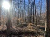 0 Excalibur Trail - Photo 14