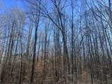 0 Excalibur Trail - Photo 3