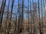 0 Excalibur Trail - Photo 5