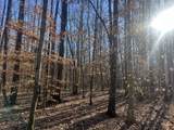 0 Excalibur Trail - Photo 6