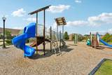 3014 Mainstream Drive - Photo 66
