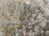 0 Toms Creek Rd - Photo 7