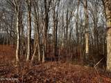 0 Smith Mountain Rd - Photo 17