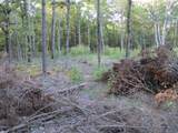 0 Cuba Landing Rd - Photo 10