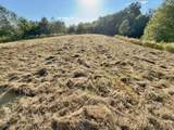 2210 Old Prospect Rd - Photo 25