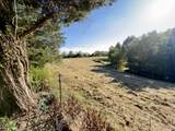 2210 Old Prospect Rd - Photo 29