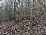 0 Black Gum Rd - Photo 3
