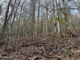 0 Black Gum Rd - Photo 6