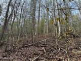 0 Black Gum Rd - Photo 7