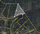 0 Black Gum Rd - Photo 8