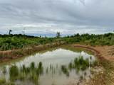 0 Sawdust Road - Photo 13