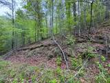 376 Summer House Hollow Rd - Photo 2