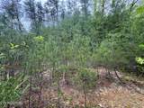 376 Summer House Hollow Rd - Photo 11