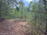 376 Summer House Hollow Rd - Photo 14
