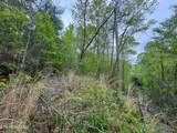 376 Summer House Hollow Rd - Photo 3