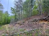 376 Summer House Hollow Rd - Photo 4