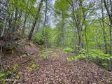 376 Summer House Hollow Rd - Photo 7