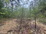 376 Summer House Hollow Rd - Photo 10