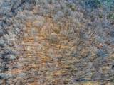 0 Rocky Branch Road - Photo 7