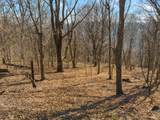 0 Rocky Branch Road - Photo 8