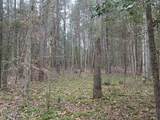 0 Wild Magnolia - Photo 14