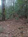 0 Wild Magnolia - Photo 23