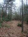 0 Wild Magnolia - Photo 26