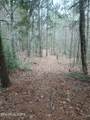 0 Wild Magnolia - Photo 10