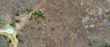 0 Horseshoe Hollow Rd - Photo 17