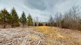 0 Horseshoe Hollow Rd - Photo 6