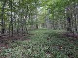 0 Hughes Hollow Rd - Photo 5