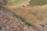 1030 Lena Rosson Rd - Photo 42