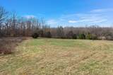 1030 Lena Rosson Rd - Photo 47